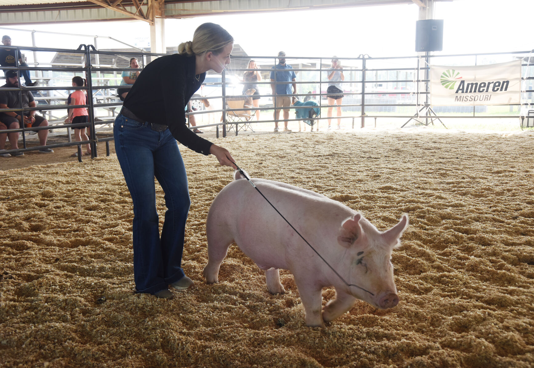 Ryan Rounsavall uses a driving tool to direct a pig